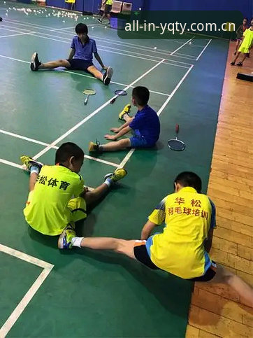 有球体育全站下载安装教程：完整操作指南与数据查询技巧