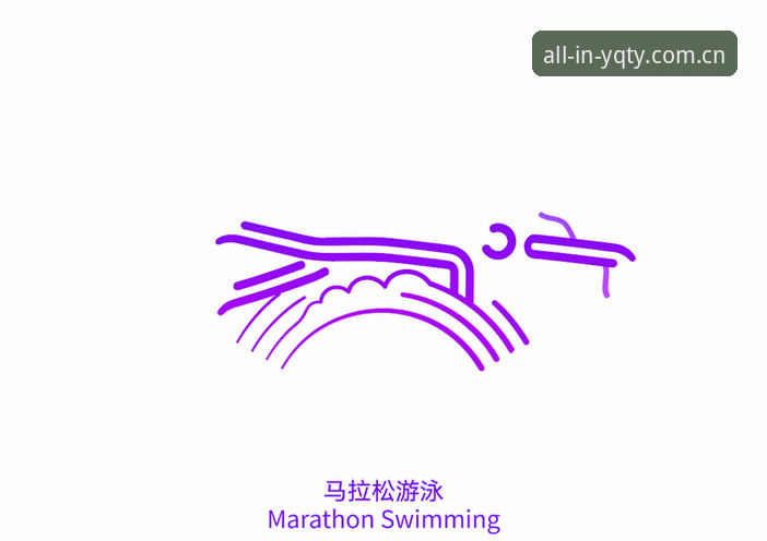 有球体育全站赛事动态评测新手教程：从数据查询到实时追踪的完整指南